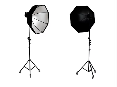 Professional Photography Octagonal Softboxes on Wheeled Tripods Setup for Studio Lighting Use 3d model