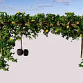 Wooden Pergola Covered With Green Vines And Yellow Flowers In Outdoor Garden