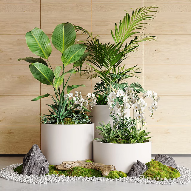 Lush Bonsai Potted Plants With Large Green Leaves White Orchids White Pots And Wooden Wall 3d model 