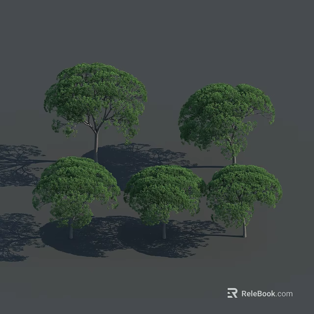 Several Green Leafy Trees With Dense Canopies And Straight Trunks Casting Shadows 3d model