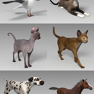 modern animal 3d model