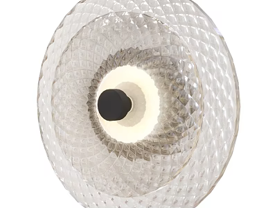 Transparent Textured Glass Wall Lamp With Black Center And White Light 3d model