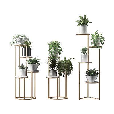 Garden Decorative Plant Stands With Golden Frames And Various Potted Green Plants 3d model