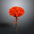 Vibrant Orange Leaf Tree With Brown Trunk And Lush Foliage Against Gray Background