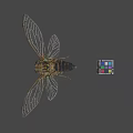 Detailed Cicada With Transparent Wings And Colorful Rubik's Cube On Gray Background