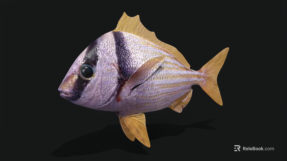Vibrant Striped Fish With Purple Body Yellow Fins And Black Head On Black Background 3d model 