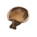 Fresh Brown Mushroom Vegetable Featuring Round Cap and Textured Stem Structure 3d model
