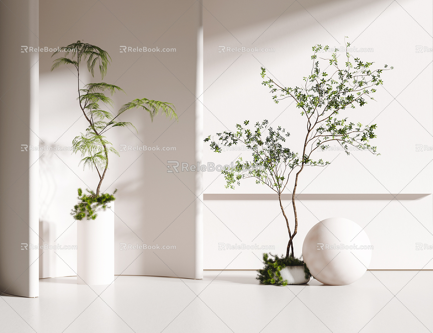 Modern potted plants 3d model