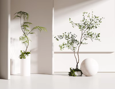 Bonsai Potted Plants In Modern White Interior With Feathery Leaves Slender Branches And Spherical Decor 3d model