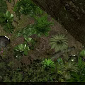 Lush Green Flowers And Plants In Natural Jungle With Sunlight And Diverse Leaves