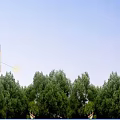 Classical Multi storey Residential Building With Brick Facade And Landscaped Garden