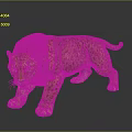 Leopard With Spotted Fur In Walking Stance Isolated On Gray Background
