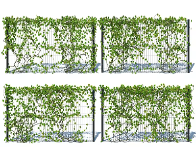 Lush Green Vines Growing On Trellis Fence For Outdoor Garden Decoration 3d model