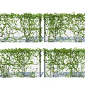 Lush Green Vines Growing On Trellis Fence For Outdoor Garden Decoration