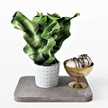 Chocolate Drizzled Dessert Scoops in Golden Bowl on Gray Stone Base with Green Leafy Plant