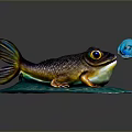 Frog Like Aquatic Animal With Fish Tail Sitting On Blue Lily Pad Holding Blue Bubble