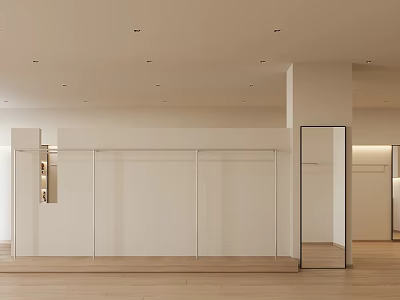 Modern Minimalist Clothing Store Interior With Warm Recessed Lights Full Length Mirror And Wooden Floors 3d model