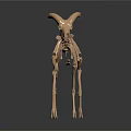 Modern Skeleton Sheep Skeleton Animal Skeleton 3d model