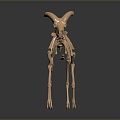 Modern Skeleton Sheep Skeleton Animal Skeleton Skeleton 3d model