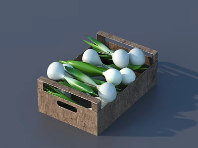Fresh White Onions with Green Leaves Packed in Rustic Wooden Crate 3d model