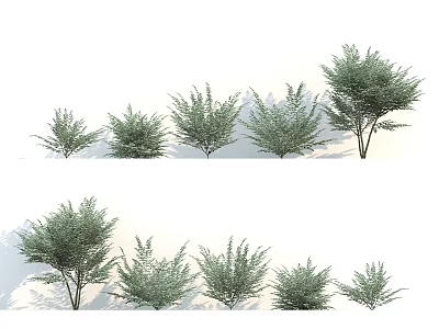 Shrubs In Various Sizes And Forms For Garden Landscape Greenery Design 3d model