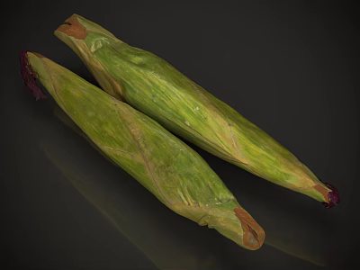 Fresh Organic Corn With Green Husk And Two Ears On Dark Background 3d model