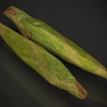 Fresh Organic Corn With Green Husk And Two Ears On Dark Background