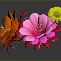 Beautiful Blooming Vibrant Cactus Flowers with Orange Pink and Yellow Petals