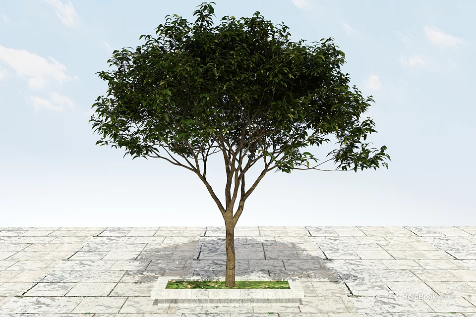 Tree Pit With Green Leafy Tree On Stone Pavement Under Blue Sky 3d model 