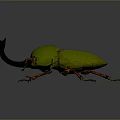 Stunning Metallic Green Shiny Beetle With Prominent Horns And Orange Legs