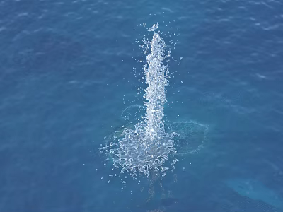 Beautiful Garden Water Feature With Rising Jet And Splashing Drops On Blue Surface 3d model