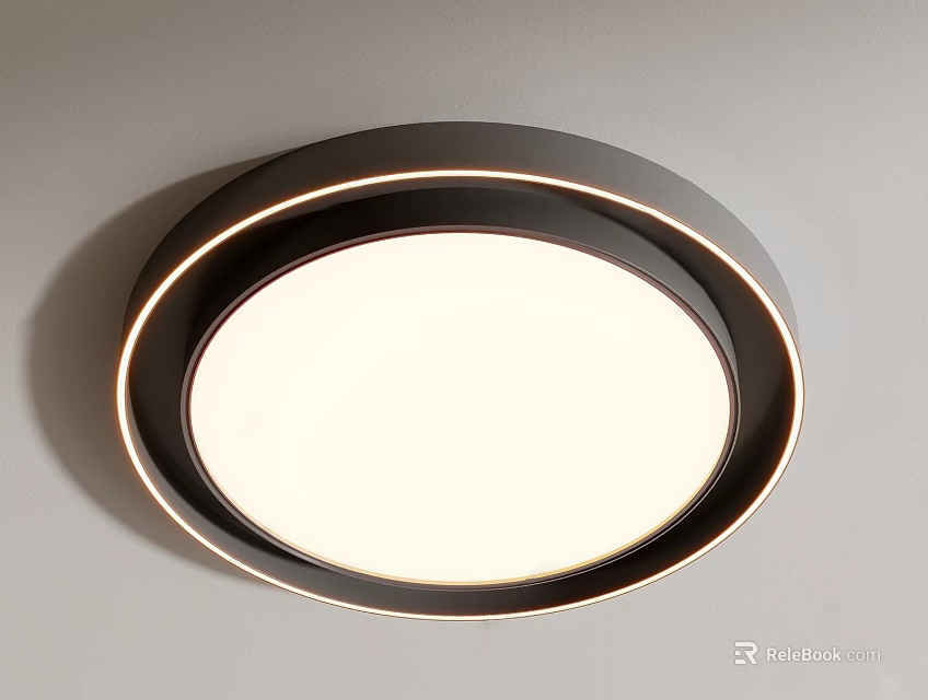 Modern Circular Ceiling Light With Black Frame And Warm White Illumination 3d model