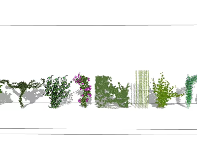 Various Types of Vines with Green Leaves and Colorful Flowers in Garden 3d model