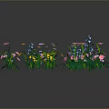 Diverse Plant Collection With Colorful Flowers Different Shapes And Green Leaves