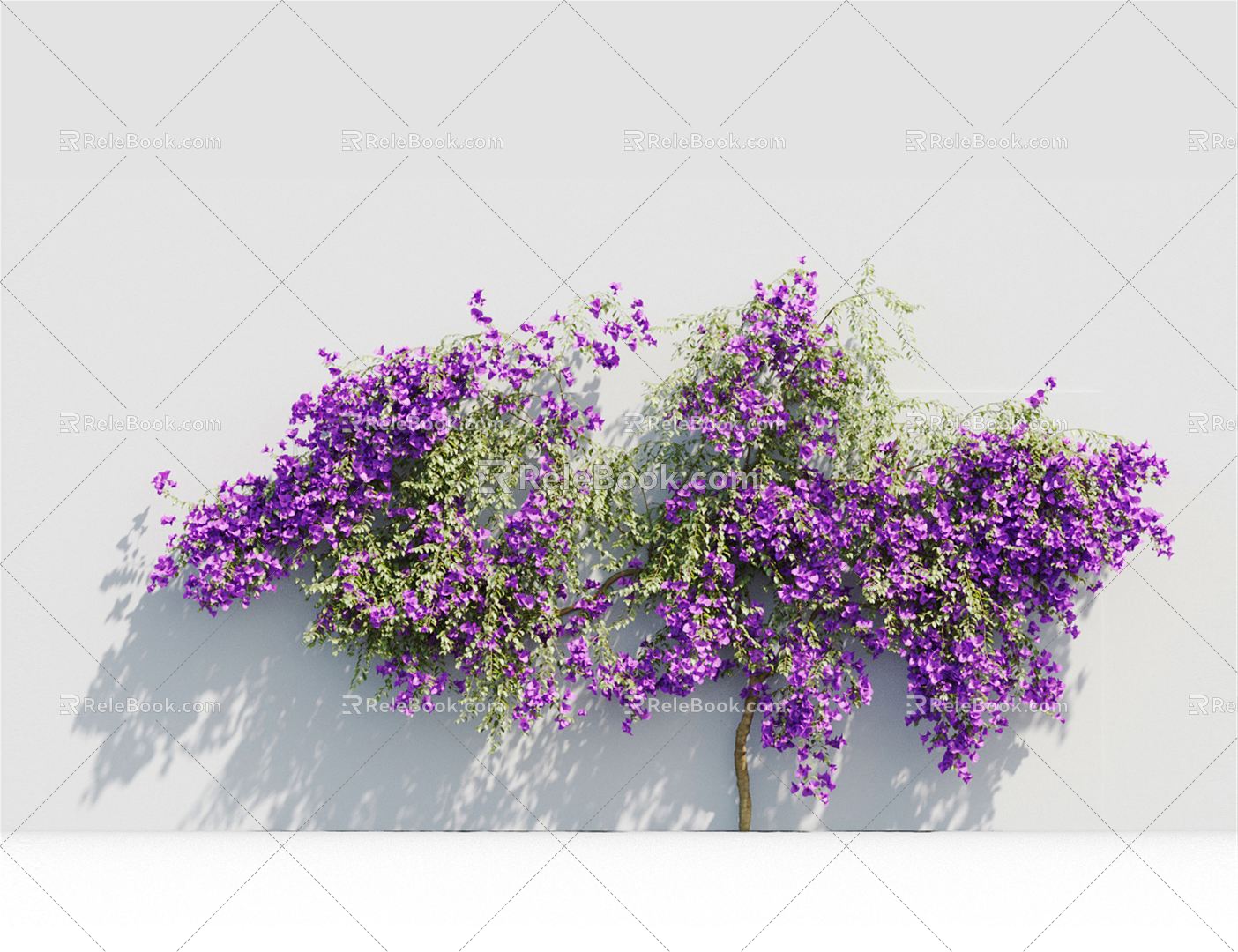 Modern Vine Vine Plant 3d model