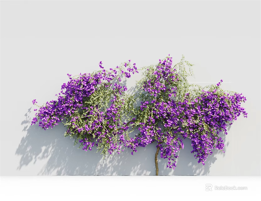 Lush Climbing Vine With Purple Flowers And Green Leaves On White Wall 3d model 