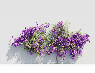 Lush Climbing Vine With Purple Flowers And Green Leaves On White Wall 3d model