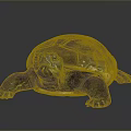 Reptile Turtle With Dark Shell Yellow Underbelly And Smooth Surface Reflection 3d model