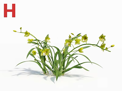 Decorative Green Plants With Yellow Flowers And Long Green Leaves On White Background 3d model