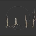 Decorative Natural Dried Plant Branches With Various Shapes And Sizes On White Background