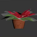 Red Poinsettia Potted Plant With Bright Green Leaves And Orange Decorative Pot