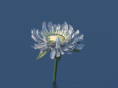 White Flower With Metallic Petals Yellow Center And Green Stem On Dark Blue Background 3d model