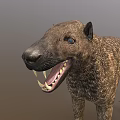 Prehistoric Animal Model With Open Mouth Sharp Teeth Brown Fur And Blue Eyes