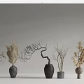 Various Ceramic Vases With Dried Branches Pampas Grass And Feathery Plants 3d model