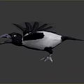 Flying Black And White Bird With Spread Wings Against Grey Background 3d model
