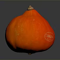 Vibrant Fresh Orange Pumpkin With Round Shape Smooth Texture On Dark Background