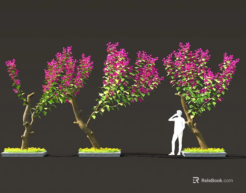 Vibrant Purple Bougainvillea Plants With Curved Trunks Green Leaves And Standing Figure 3d model 