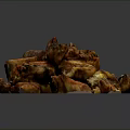 Delicious Oven Roasted Pork Ribs Golden Brown Tender Juicy with Savory Seasoning