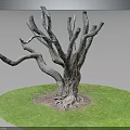 Rough Wooden Dead Tree Trunk With Curved Branches And Roots On Green Grass