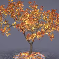 Autumn Tree Featuring Orange Yellow Leaves Red Fruits and Fallen Leaves on Gray Background